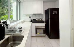 The Stellar (D5), Condominium #562082901